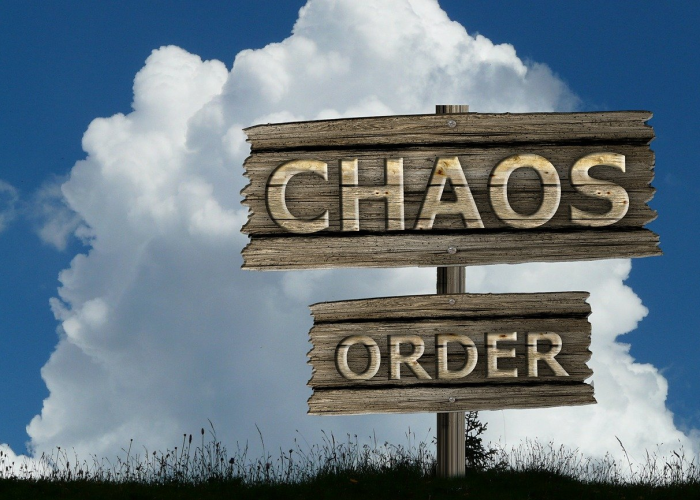 1500例新增背后的生命刻度：疫情洪流中，一座座城市的微观呼吸与宏观守护