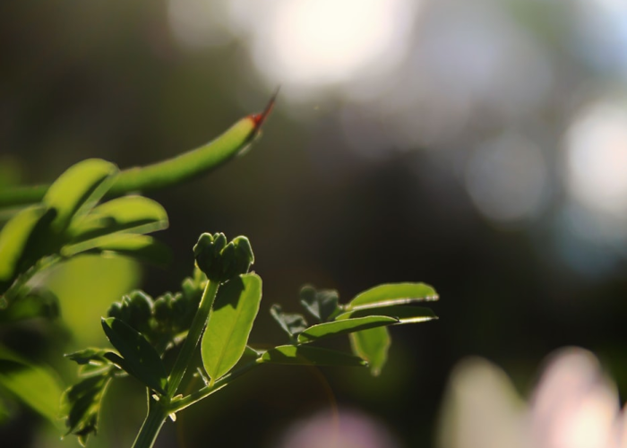 当丧尸在陆家嘴按下暂停键、上海静默日 43