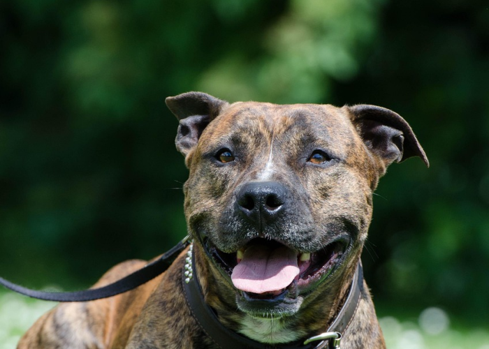 九命陨落，冬日暖阳下的城市安全毛细血管之痛