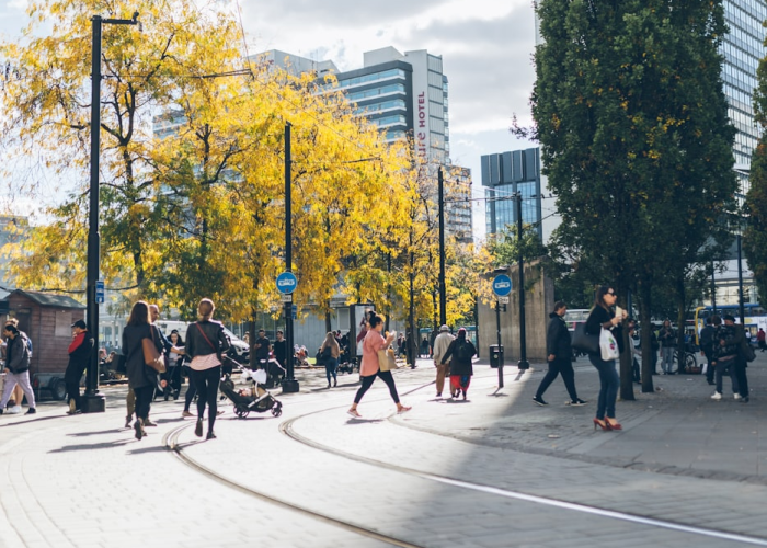 19例阳性与7条传播链：一座城市的应急网络，微观世界的抗疫样本