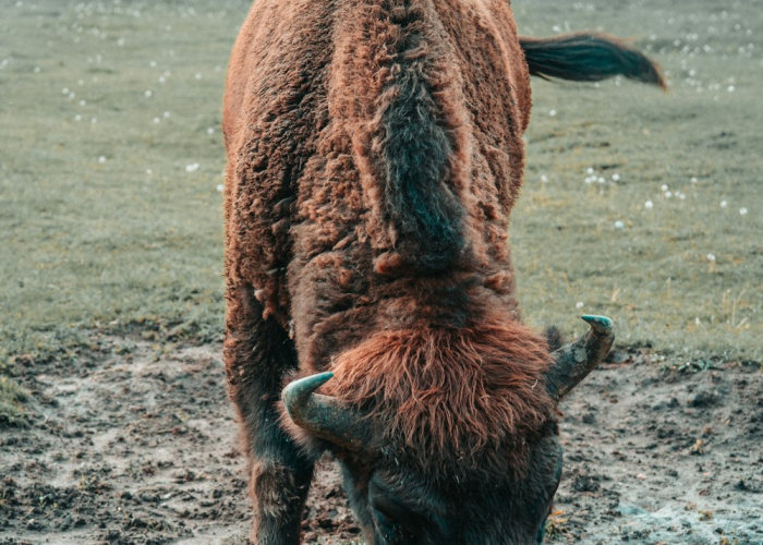 {阳性几率有多大¿数据背后的真相令人深思}，核酸异常