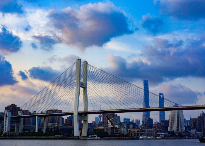 V 【从通行证到生活服务枢纽的深层变革】、湖北健康码再升级