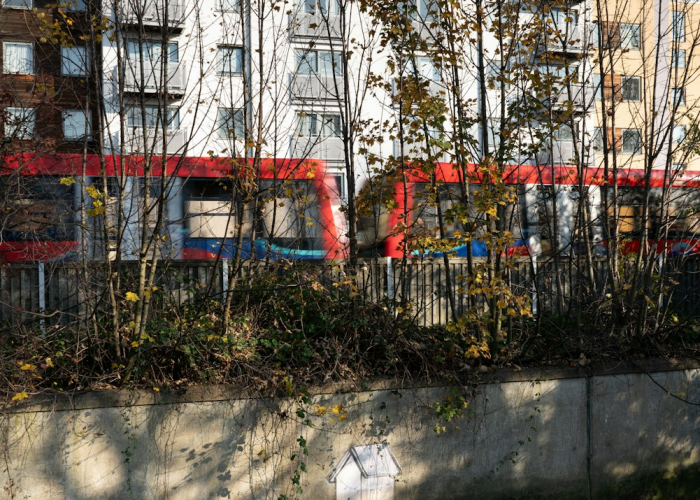 1月28日春运启程：核酸检测证明成为归乡的“通行证”与个体抉择的显微镜