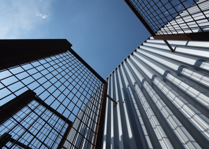 从封控区到水上公园：一座城市的免疫系统与集体记忆修复