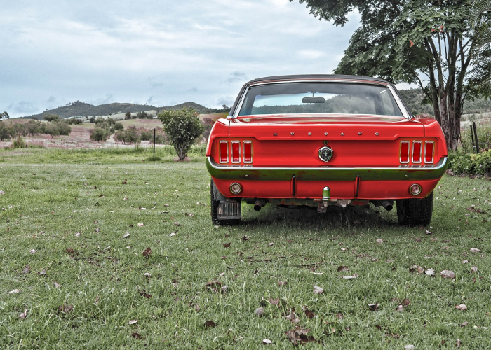 2022高速免费时段背后的流动中国，春节归途的计时与温情