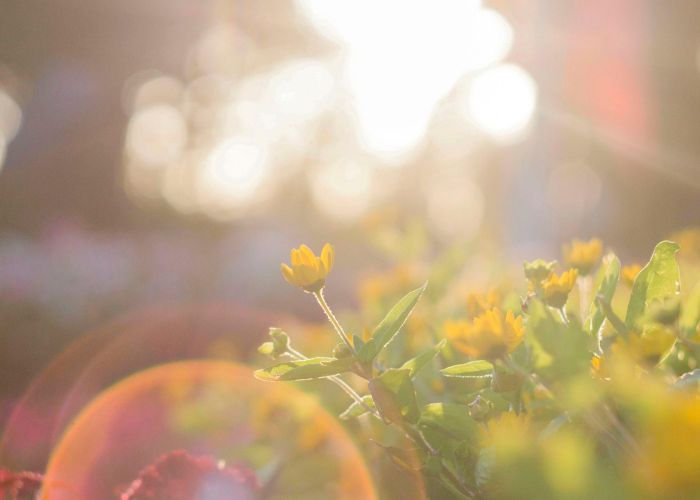 5例确诊背后的微澜：河南疫情长河中的个体命运与集体守望