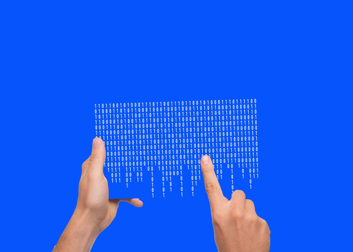 从大流行到稳固传播的深层逻辑与未来挑战、全球病毒传播新常态