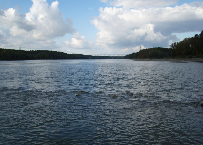 青岛88例校园疫情：隐匿的传播链与一座城的破防时刻