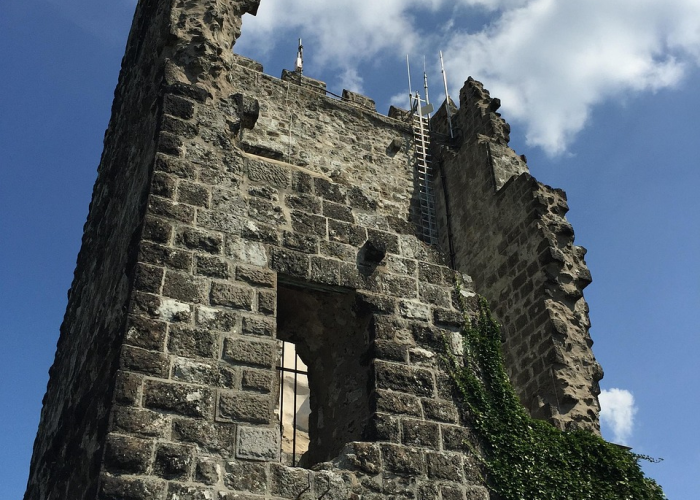 津南区97例阳性样本：社区网格中的生命接力与防护长城