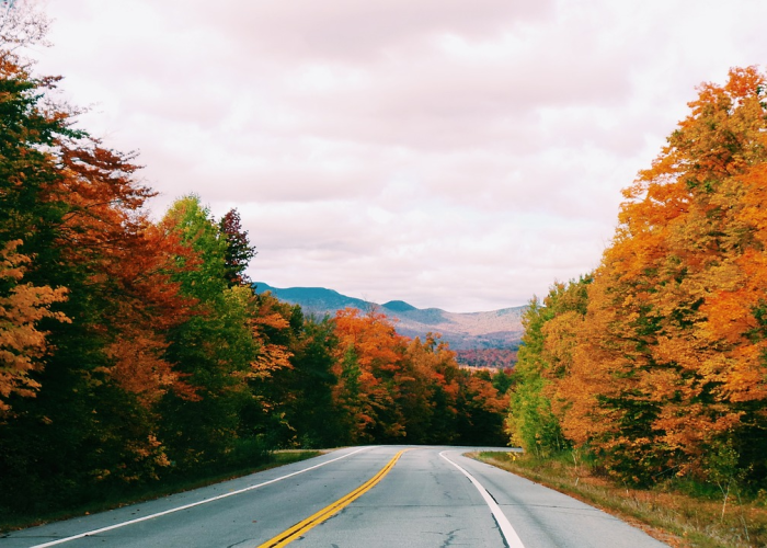 预计明年上半年恢复疫情前生活状态，钟南山的九大判断如何为疲惫社会构筑“生命护栏”