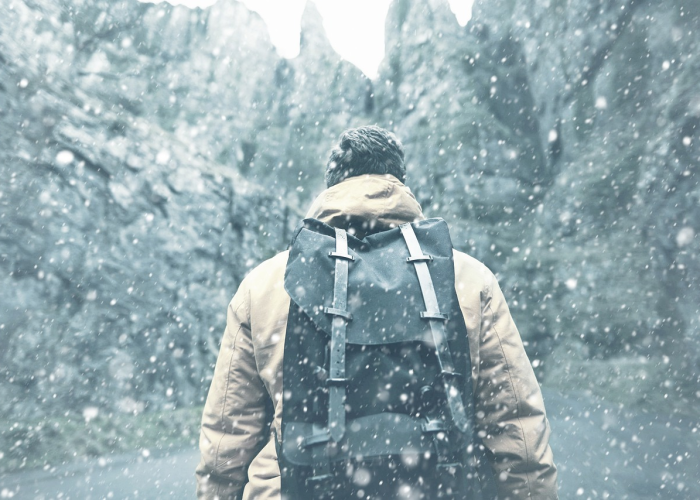 H {一场被忽视的古老瘟疫与生态警钟}、山东炭疽死亡病例背后