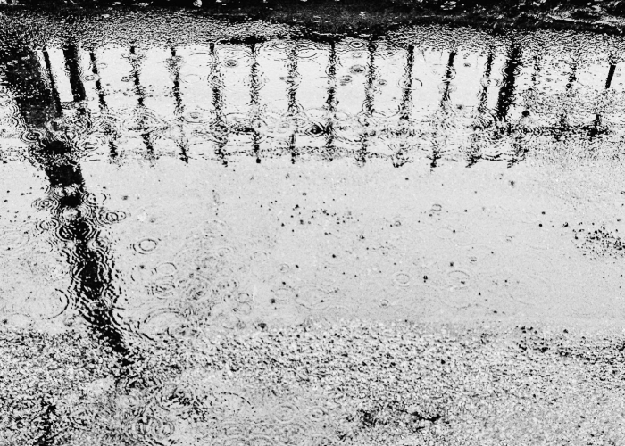 S 一张疫情拼图与三亿人的日常，[31省新增68例本土确诊背后]