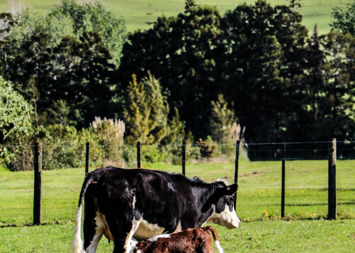 是一座城的坚韧答卷、莆田今日疫情新增几例？！数据背后