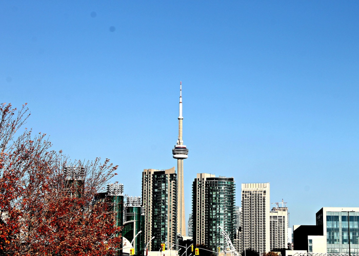 5例新增下的生命守护：疫情长河中的社区航标