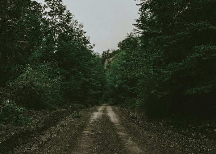 （烟火渐归的静好），山水间的坚守，广西桂林疫情最新消息