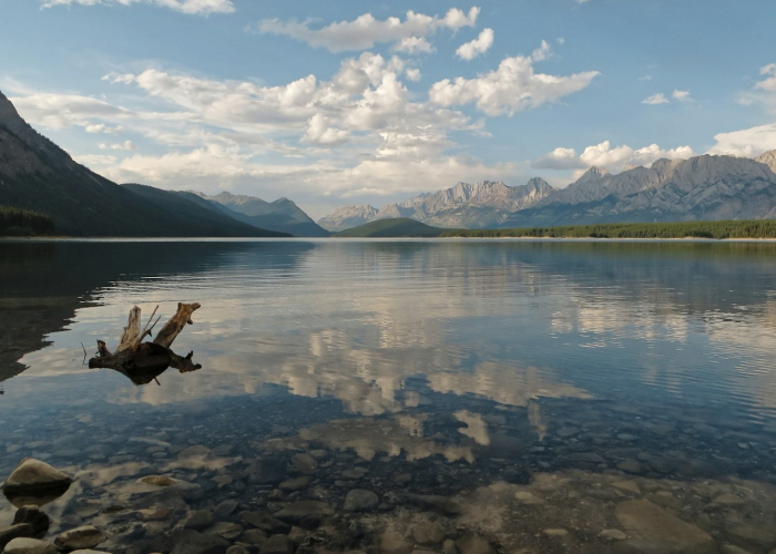 当繁华地标成为流调报告上的坐标、南京西路确诊 59