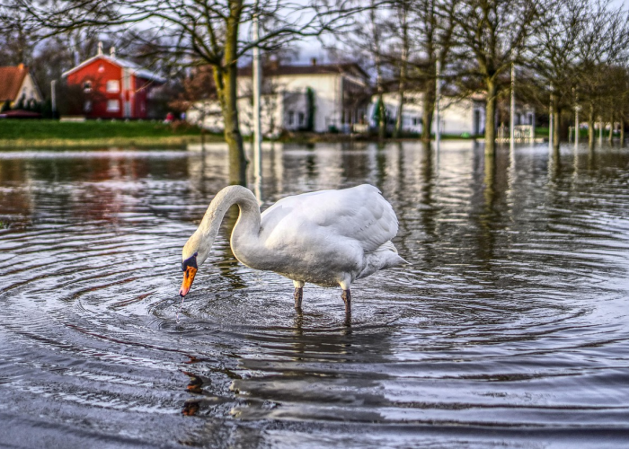 34天与94天：个体命运在公共安全中的“测不准原理”