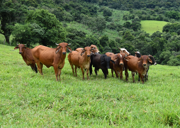 503万确诊背后的沉默呐喊，一座无形围墙下的呼吸困局