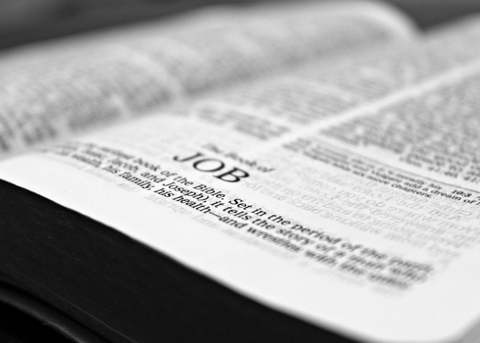 (信息洪流中的信任灯塔与治理温度)；上海疫情发布会