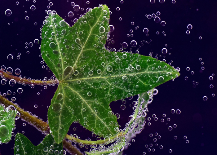 津南区97例阳性样本：社区网格中的生命接力与防护长城