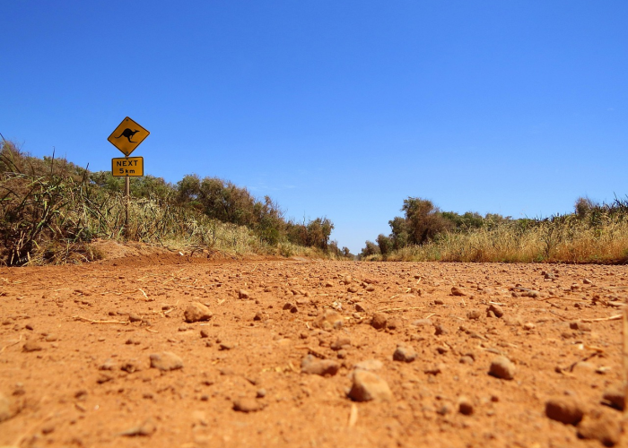 36例确诊背后的生命韧性：疫情长河里的人间微光