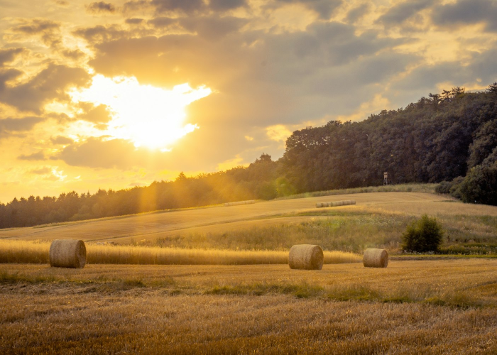 沉默的疫情与社会的韧性，安徽19例无症状感染