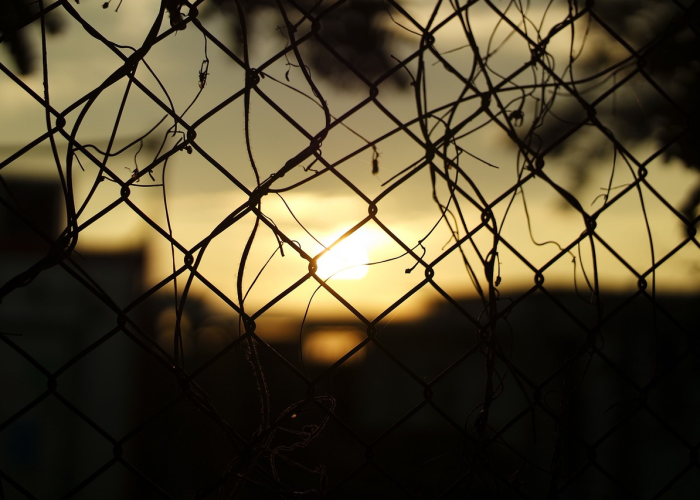 1例基孔肯雅热与流感高发季：侨乡韧性下的健康守望，海潮般的健康防线