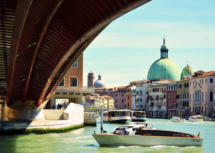 一座城市的韧性大考与复苏之路,保定疫情最新情况 67