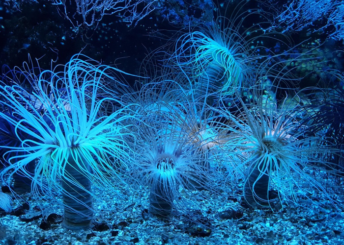 R 6例本土病例敲响的防疫警钟与集体韧性、31省新增11例确诊背后