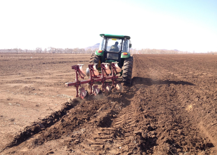 一场无声的动态清零压力测试,(31省份新增本土确诊95例背后) 一场无声的动态清零压力测试,(31省份新增本土确诊95例背后)