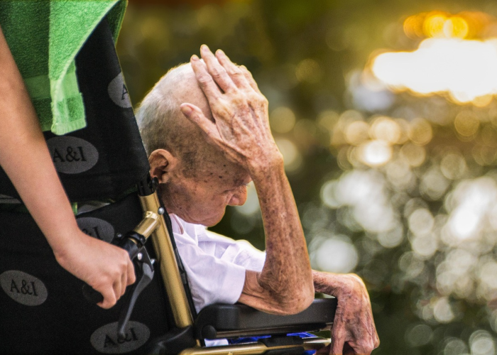 两万零四百零九例归途：输入病例背后的人类迁徙与无形长城