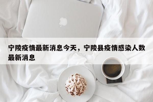 宁陵疫情最新消息今天,宁陵县疫情感染人数最新消息
